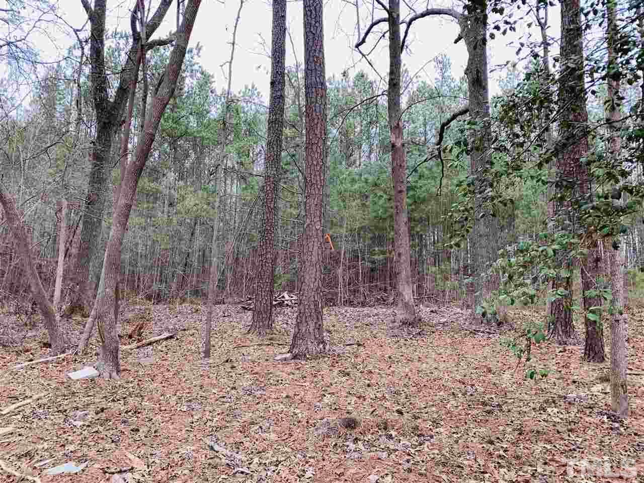 LOT1 Winston Road - Photo 1