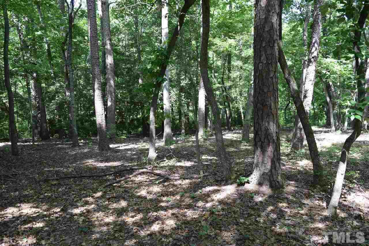 145 Pattersons Bridge - Photo 1