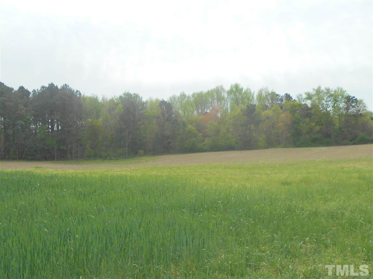 1 Us 301 Highway - Photo 1