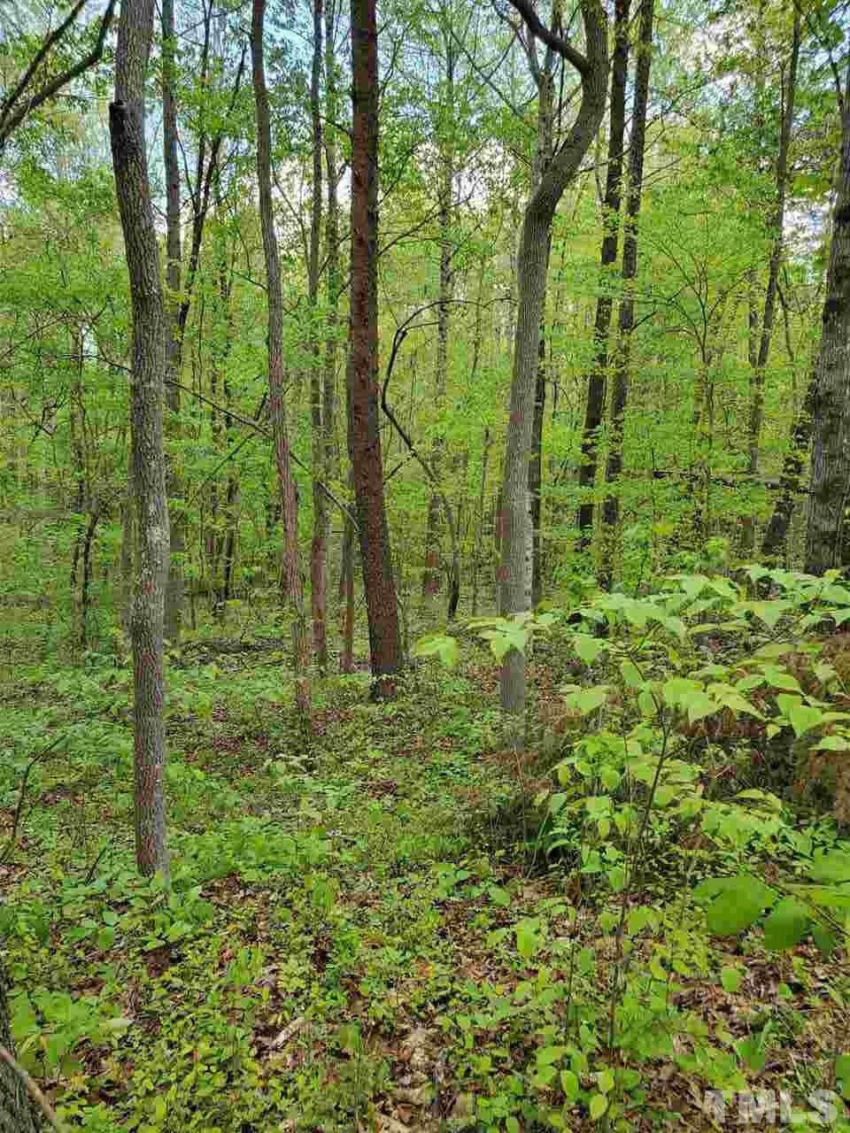 Lot 5 Nc 62 Highway - Photo 1 Lot 5 Nc 62 Highway - Photo 1