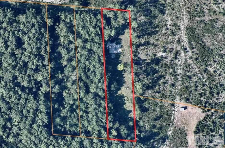 8720 River Road - Photo 1