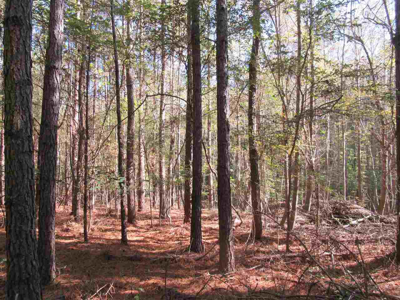 TBD Buffalo Ford Road - Photo 1