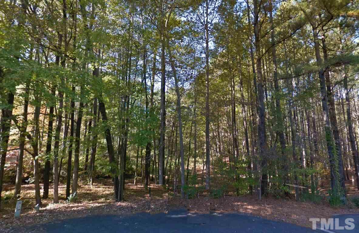 1123 Wake Robin Lane - Photo 1