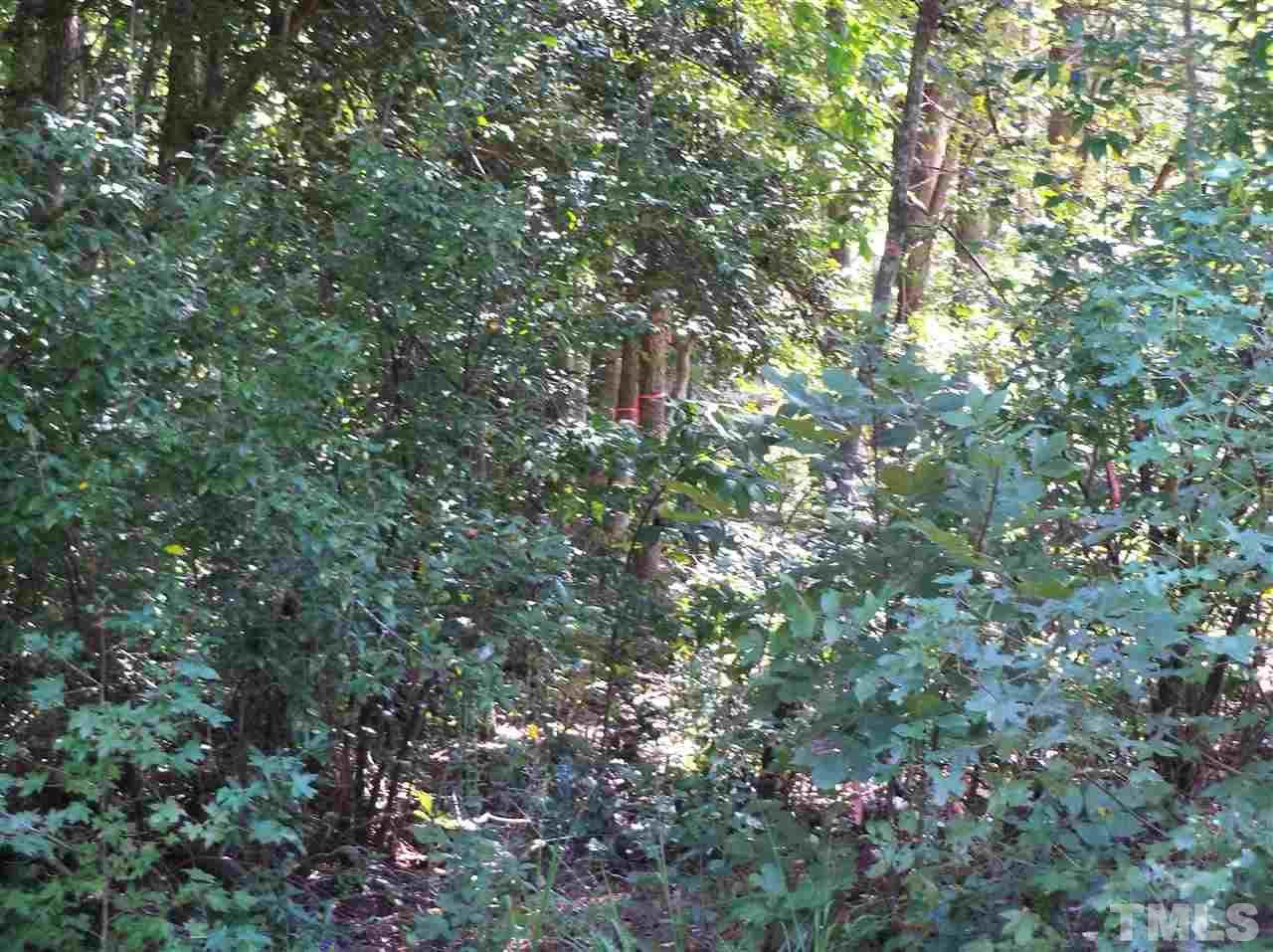 Lot 3 Pebblebrook Drive - Photo 1