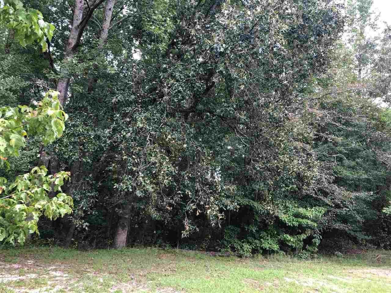 0 Bella Bridge Road - Photo 1