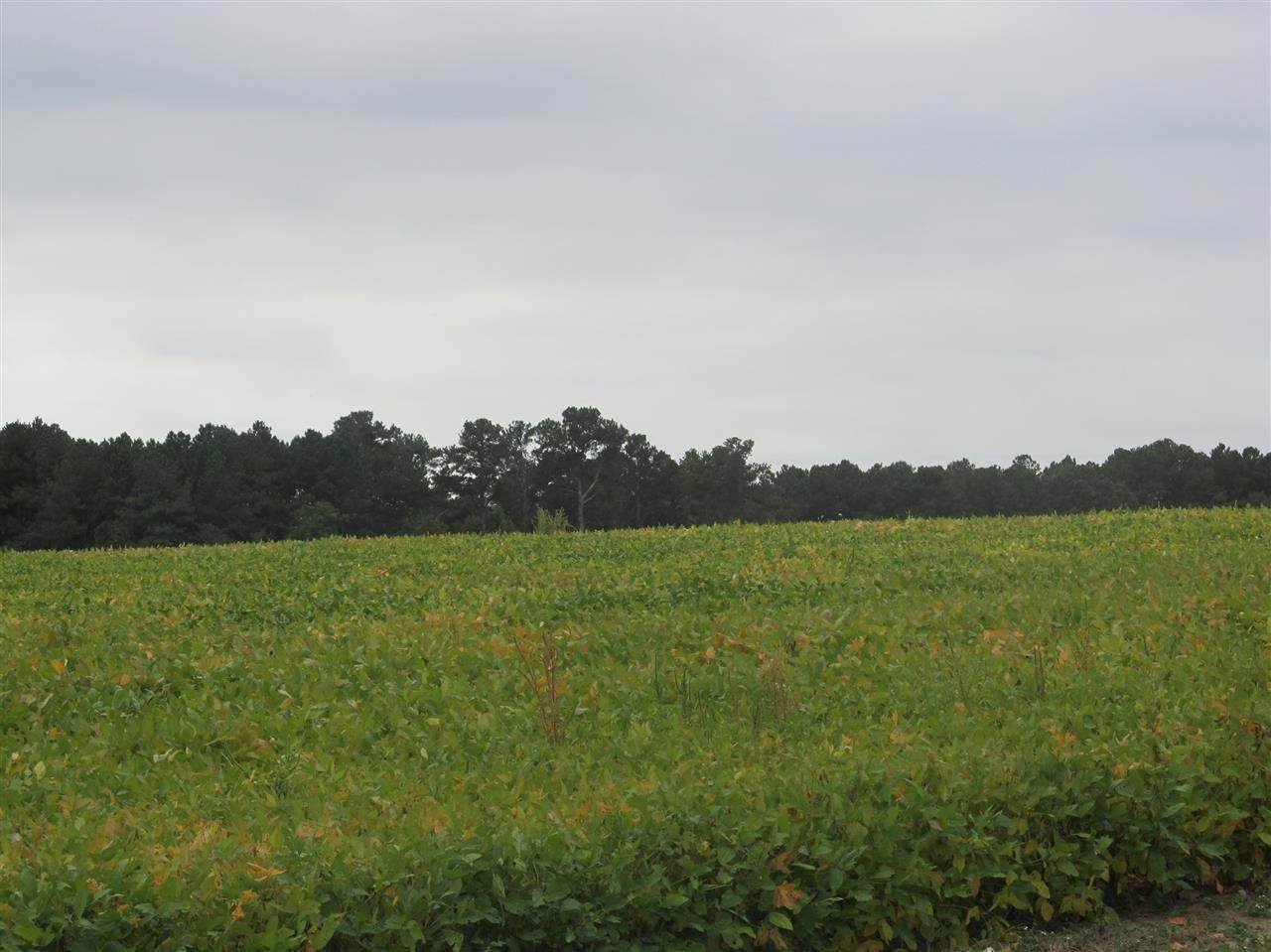 0 Seminole Road - Photo 1