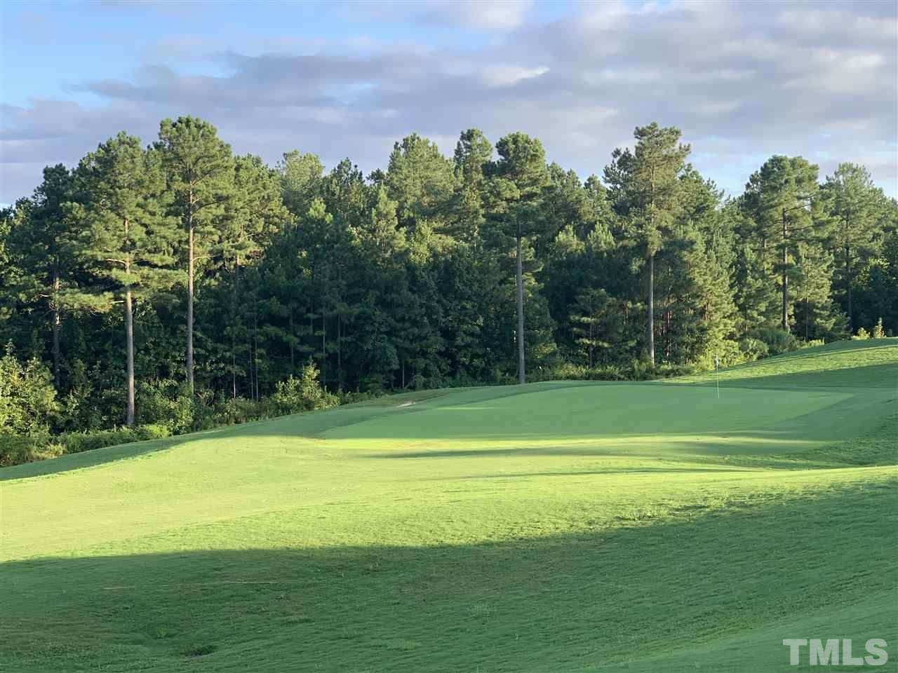 699 Golfers View - Photo 1