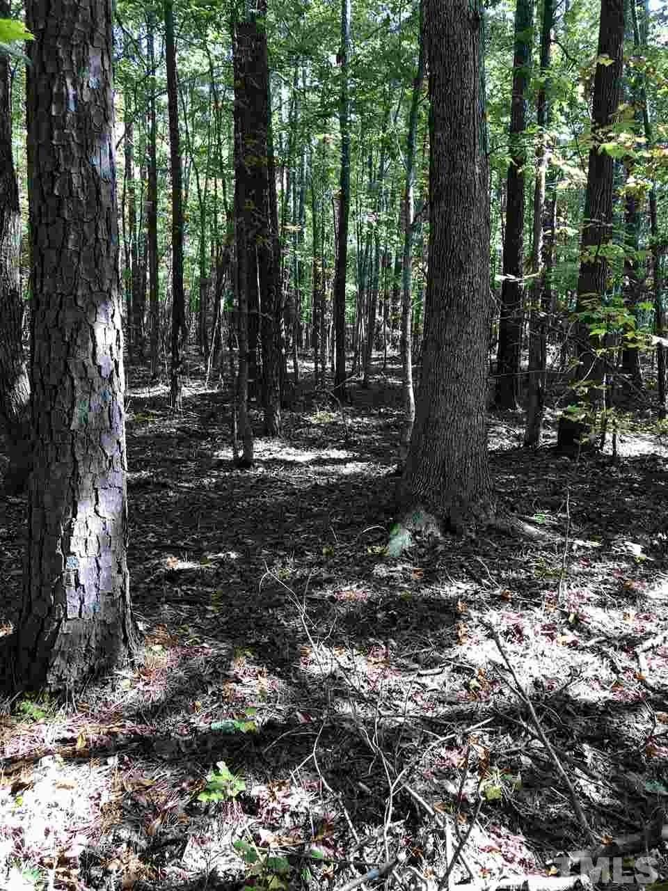 3554 Nc 56 Highway - Photo 1
