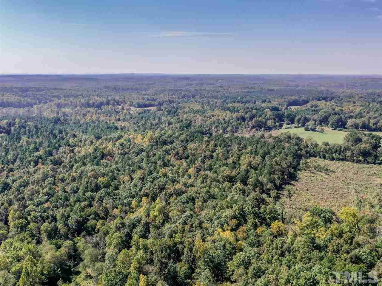 0 Lamont Norwood Road - Photo 1