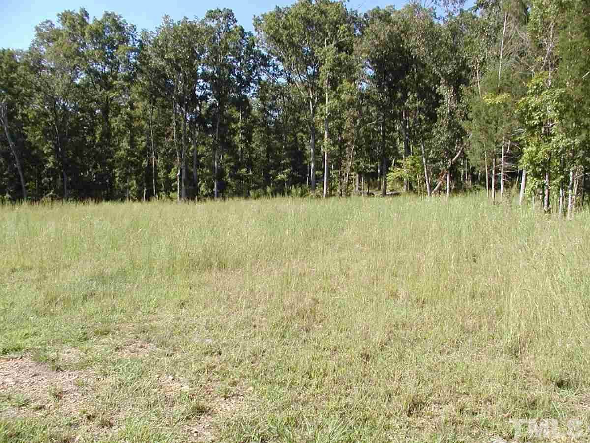 Lot 2 Alexandra Woods Lane - Photo 1