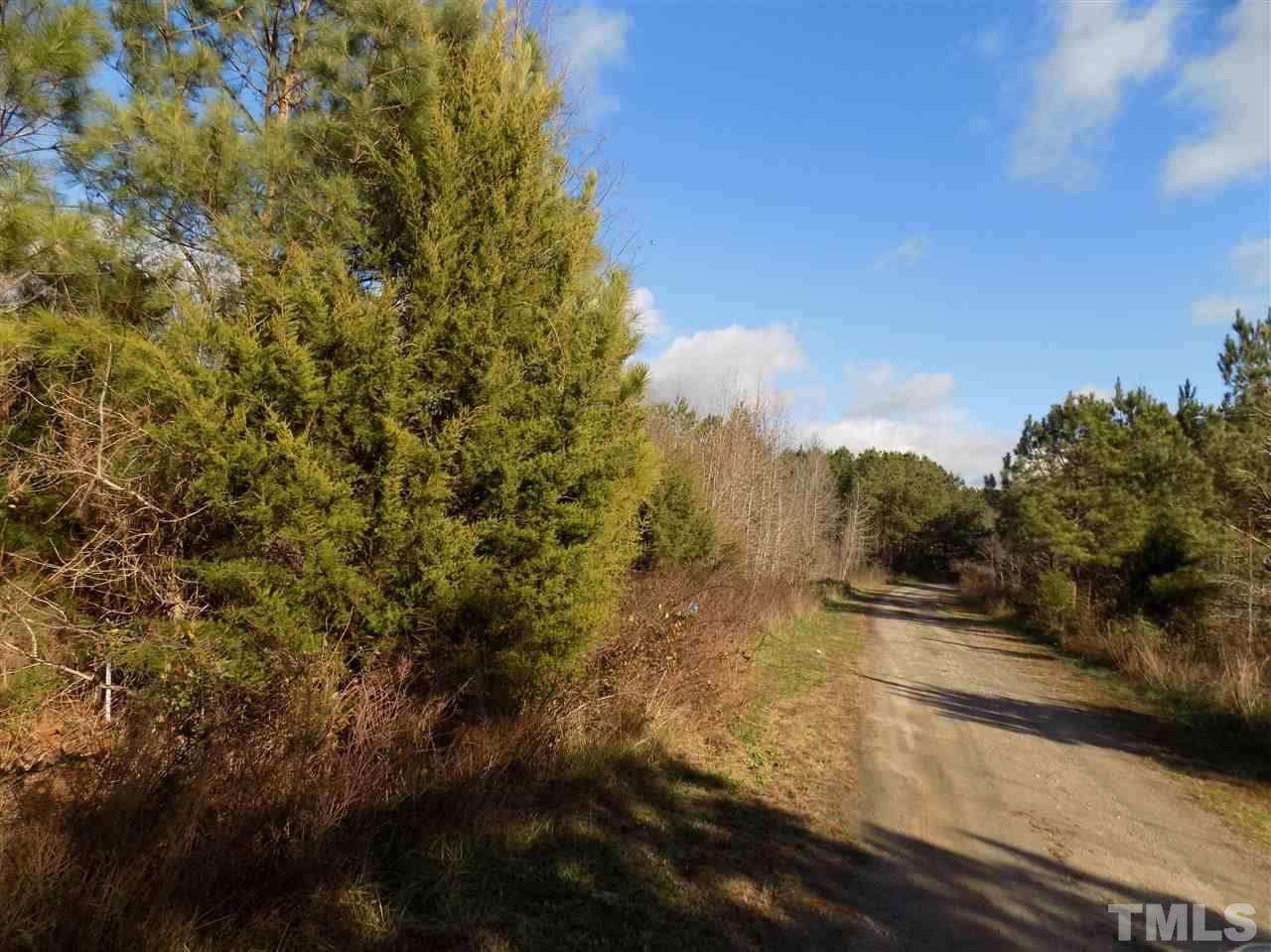 Lot 6 Sandy Plains Lane - Photo 1