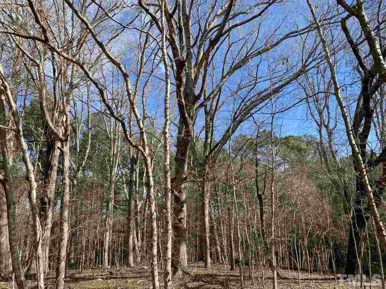 Carolina Forest Road - Photo 1