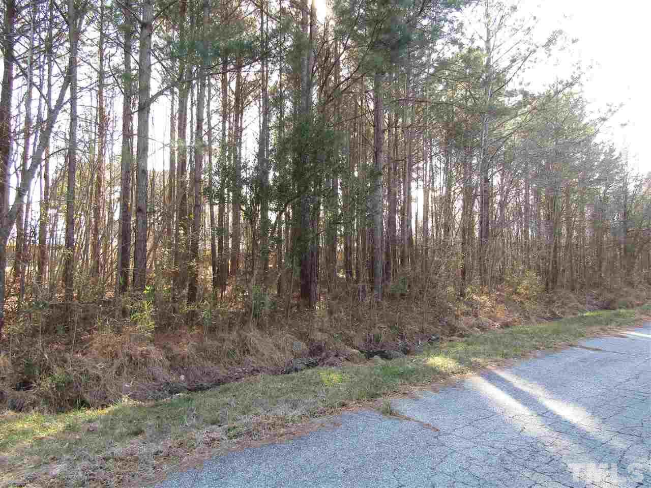 Lots 57-59 Biz Road - Photo 1