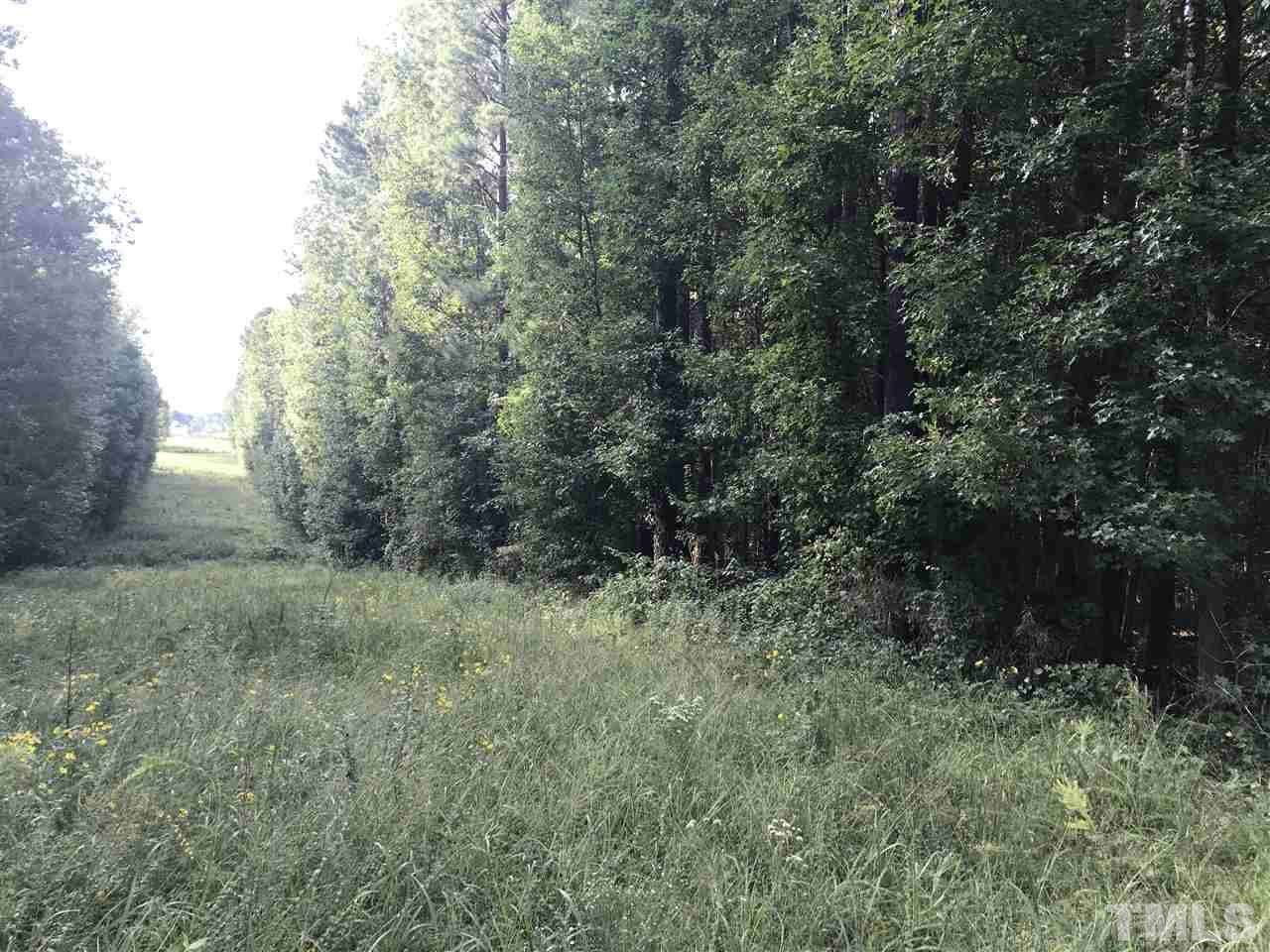 000 Sugg Farm Lane - Photo 1