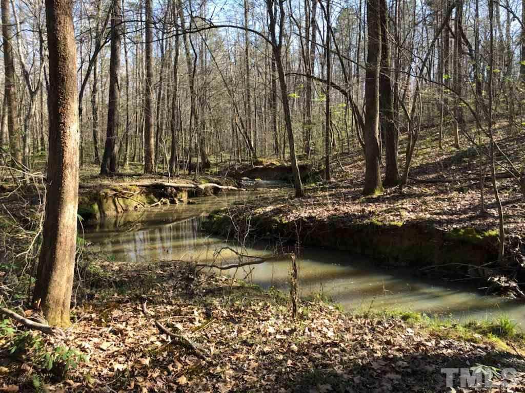 Lot 7 Preservation Forest Lane - Photo 1