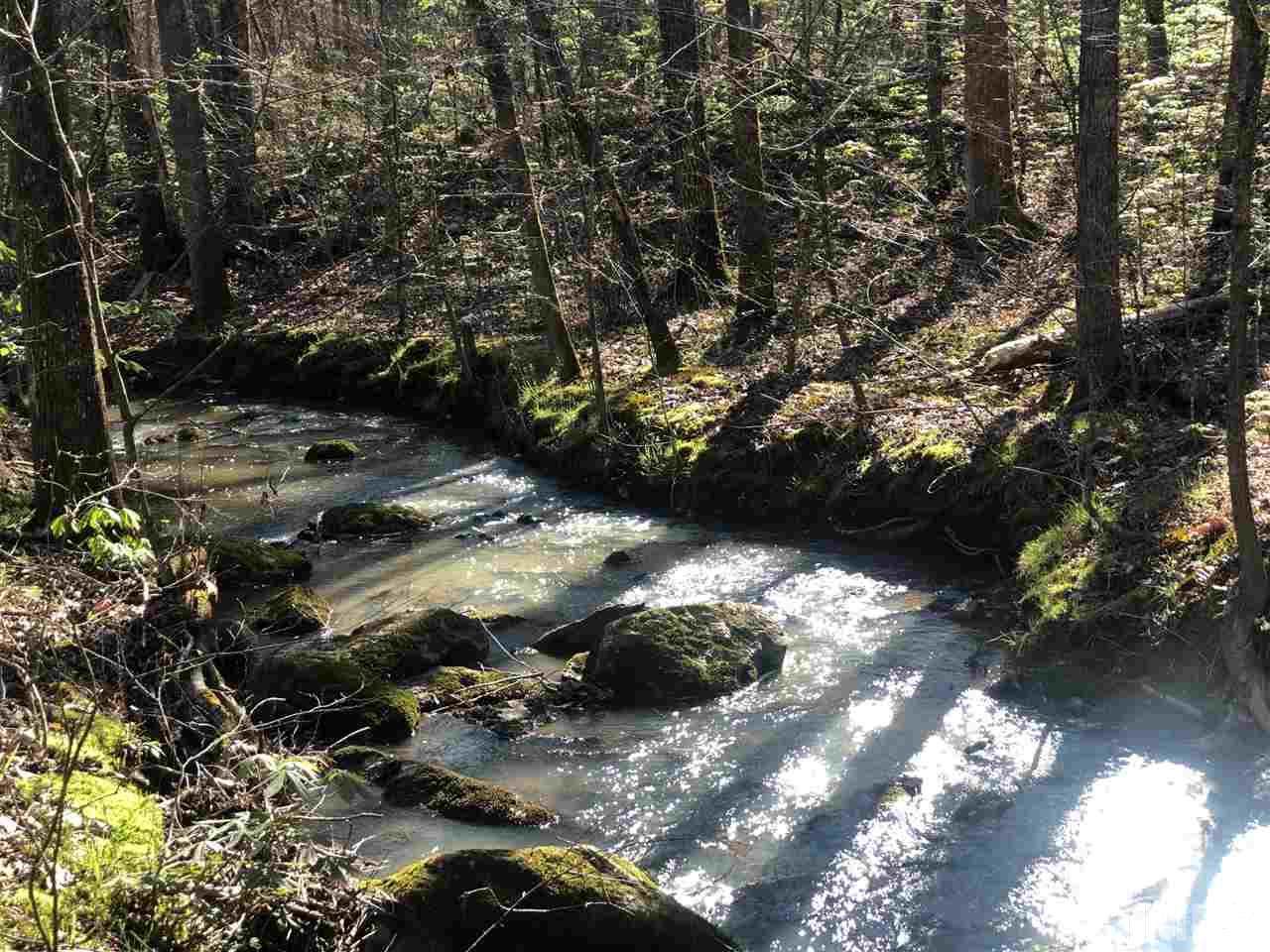 Lot 8 Preservation Forest Lane - Photo 1