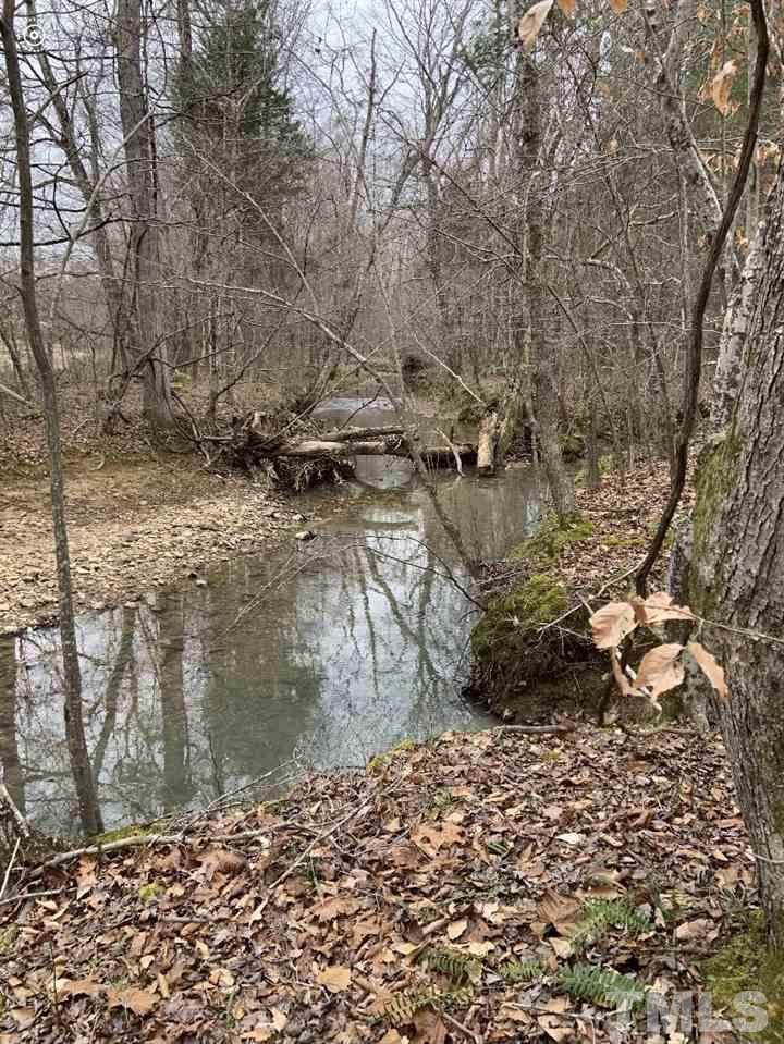 53-A Dorothy Brooks Lane - Photo 1