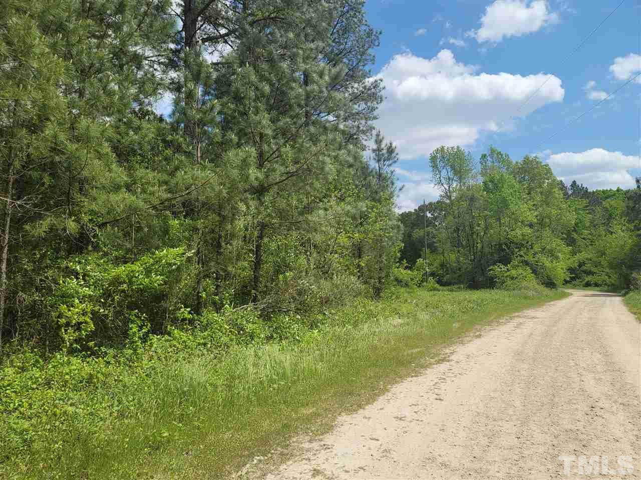 0 Pete Smith Road - Photo 1