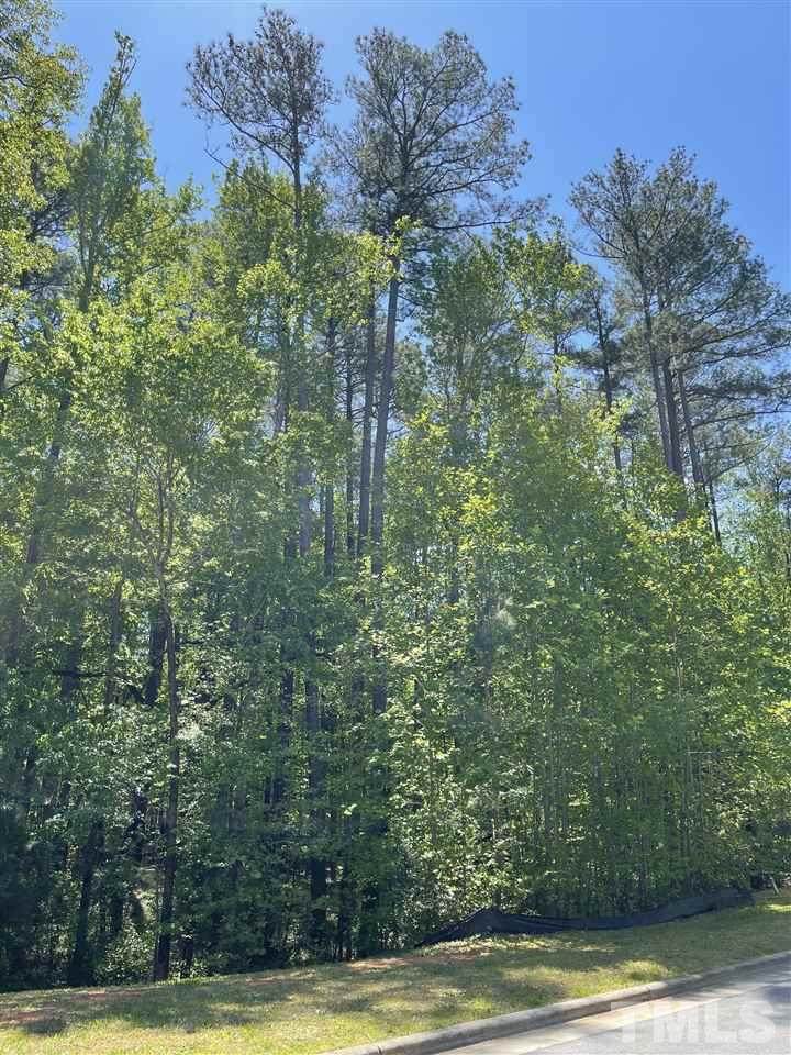 8927 Scotch Castle Drive - Photo 1