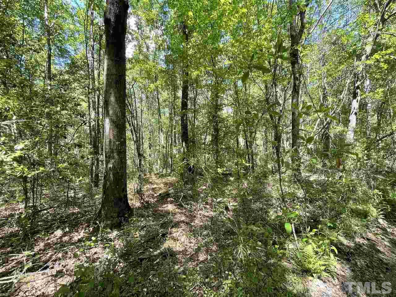 1183 Blackman Road - Photo 1