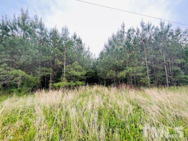 0 Nc 561 Highway - Photo 1
