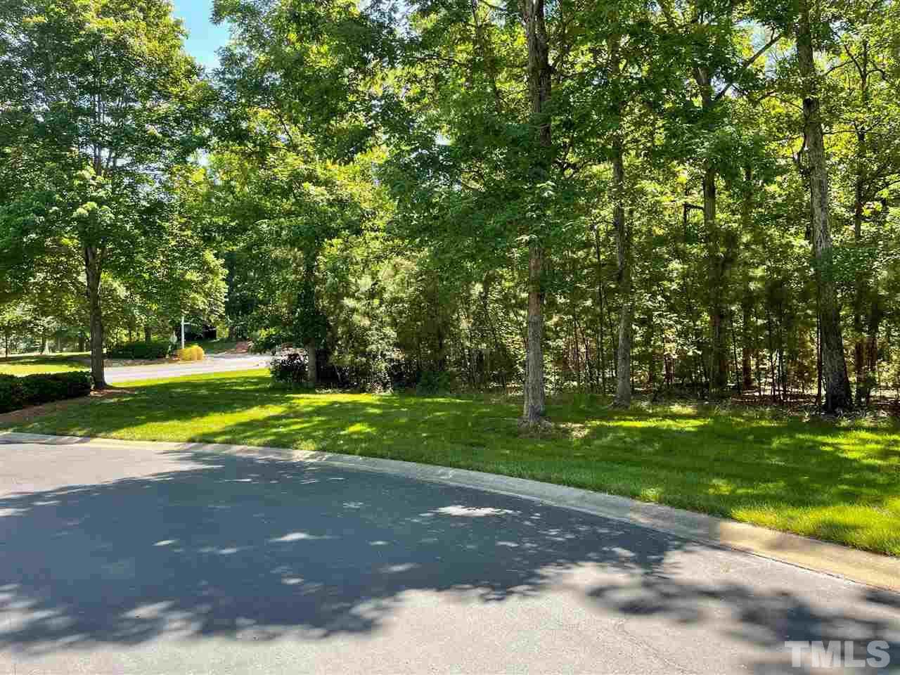 118 Candor Oaks Drive - Photo 1