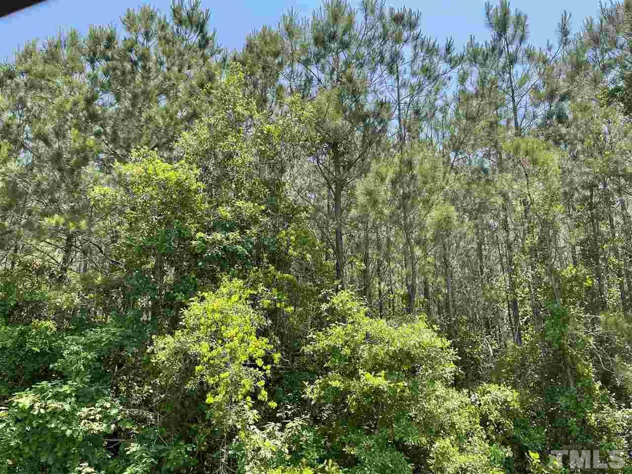 Us 401 Highway - Photo 1