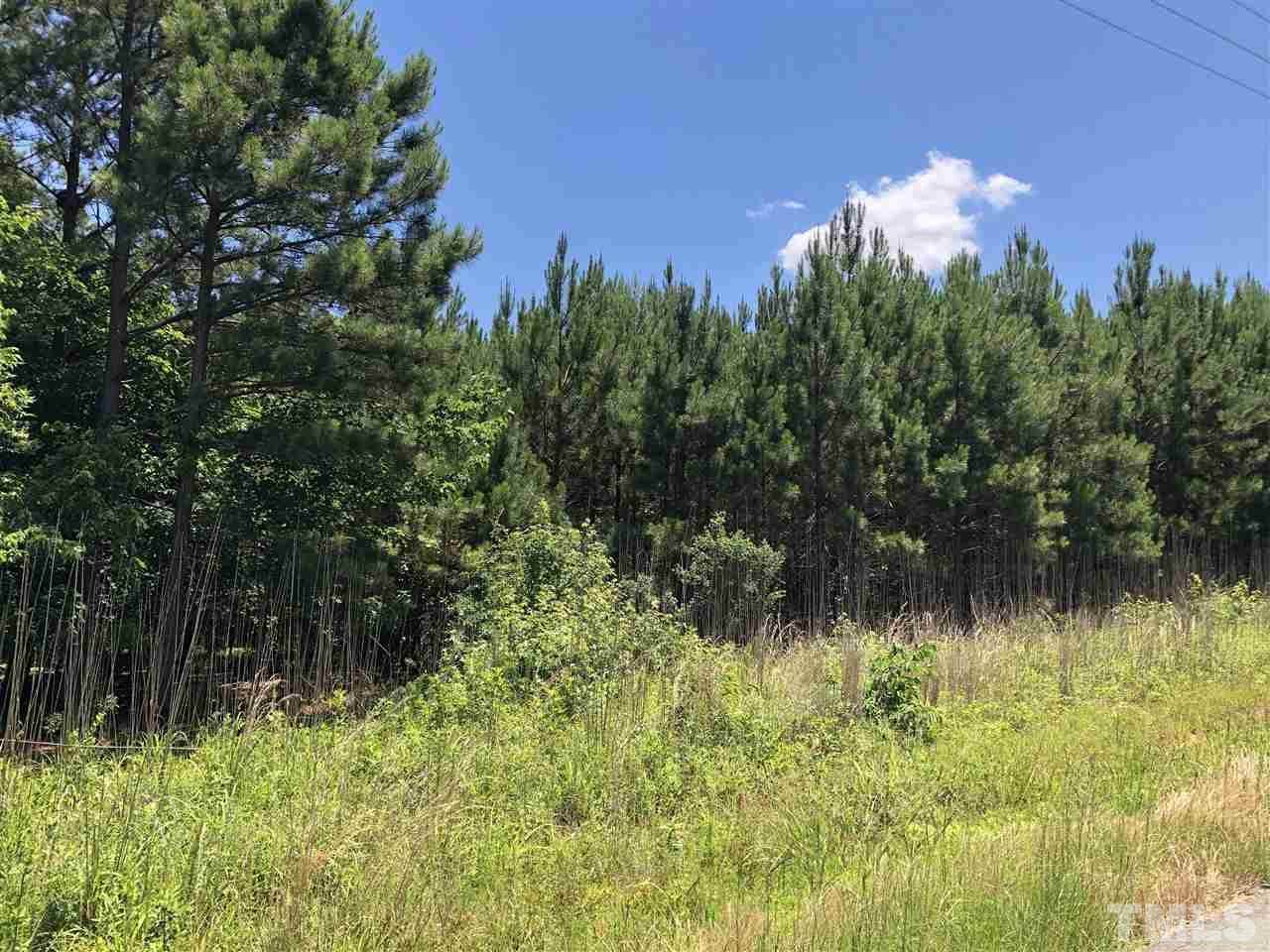 0 Mt Zion Church Road - Photo 1