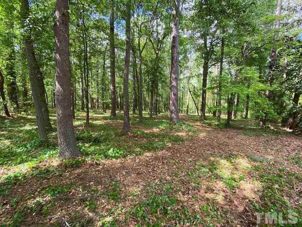 Lot 5 Dellwood Place - Photo 1