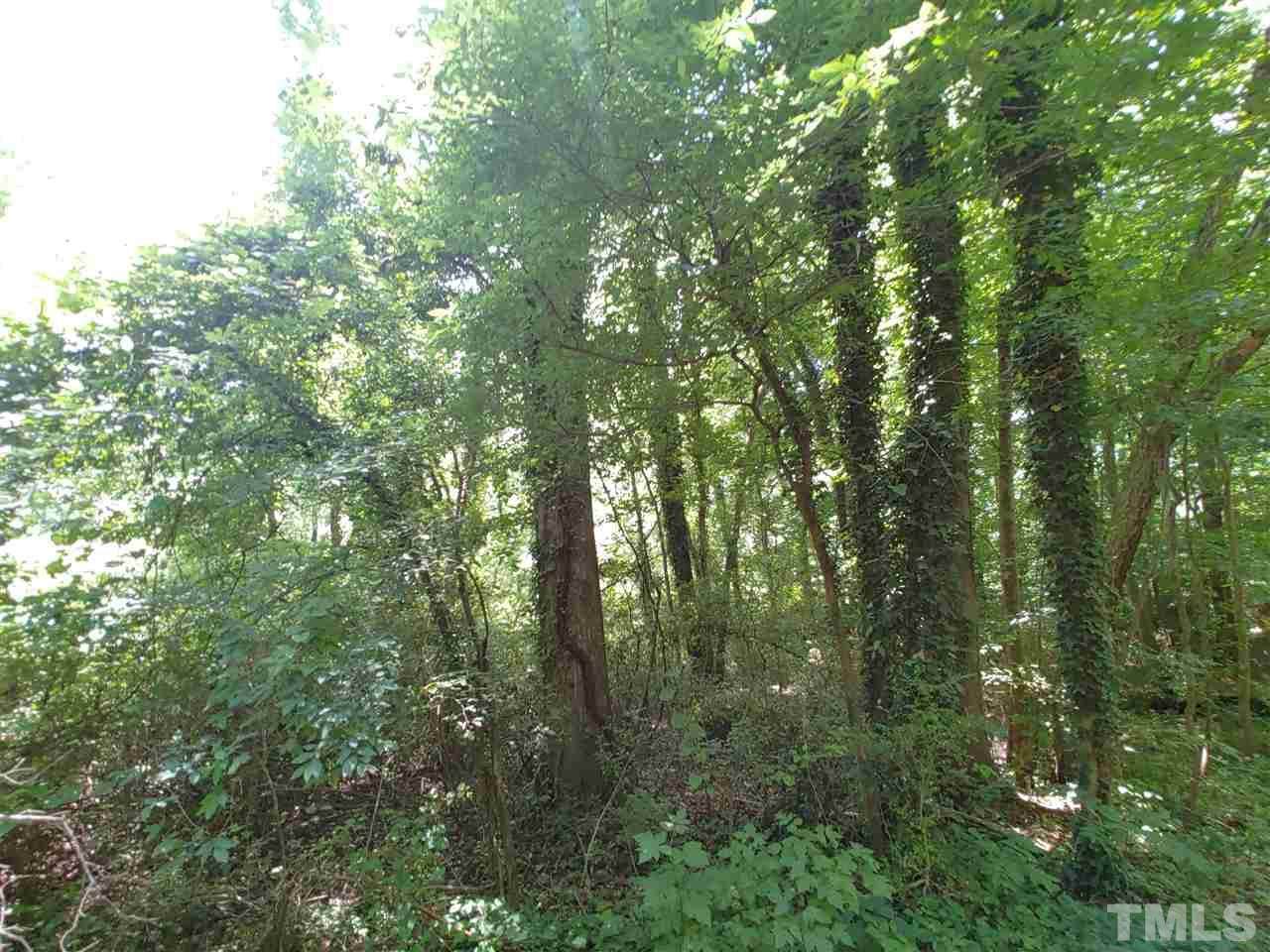 721 Millbrook Avenue - Photo 1