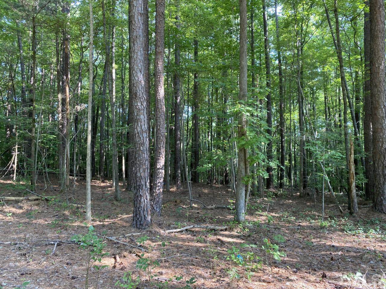 Lot 8 Pond Edge Court - Photo 1