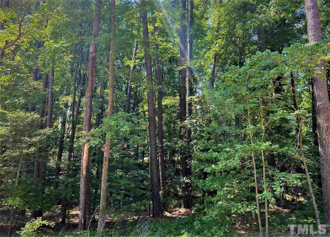 Lot 12 Rockford Lane - Photo 1