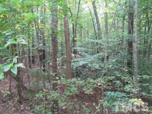 Lot 3 Dabney Woods Drive - Photo 1