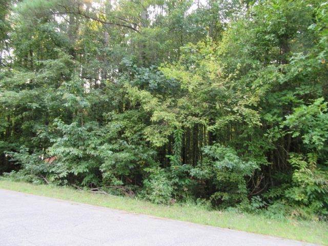 Lot 19 Dabney Woods Lane - Photo 1