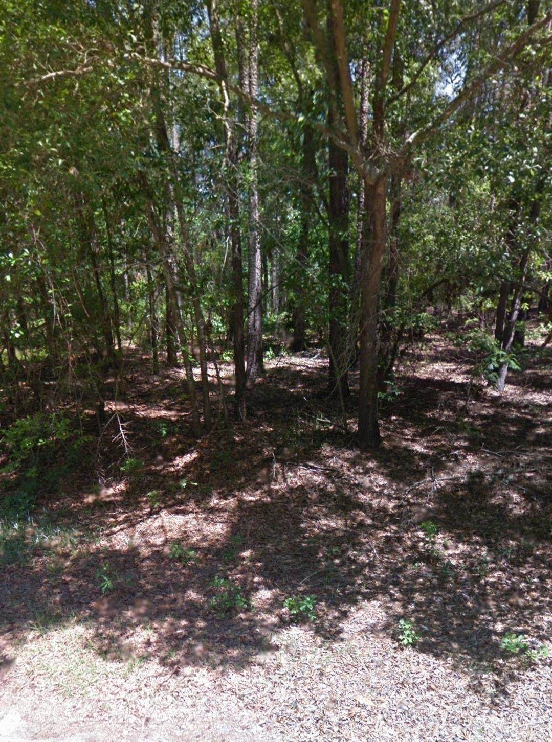 14 Wildlife St - Photo 1