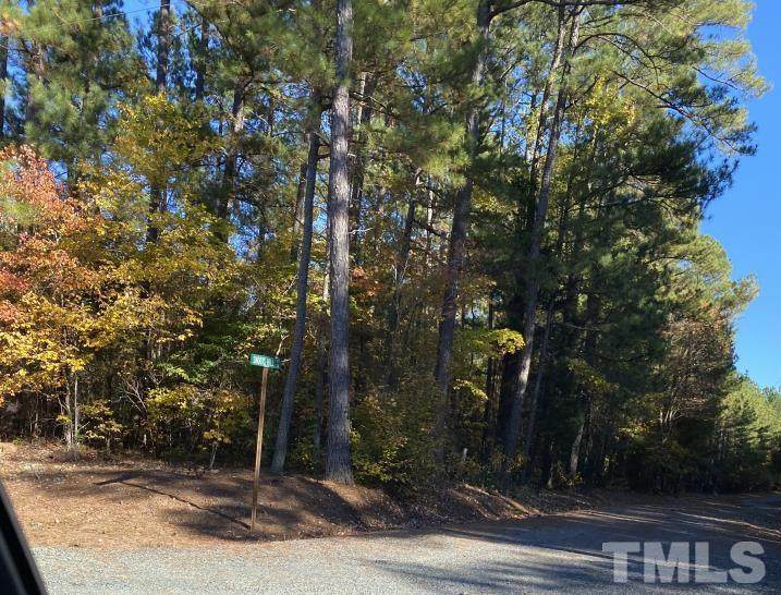 0 Everett Dowdy Road - Photo 1