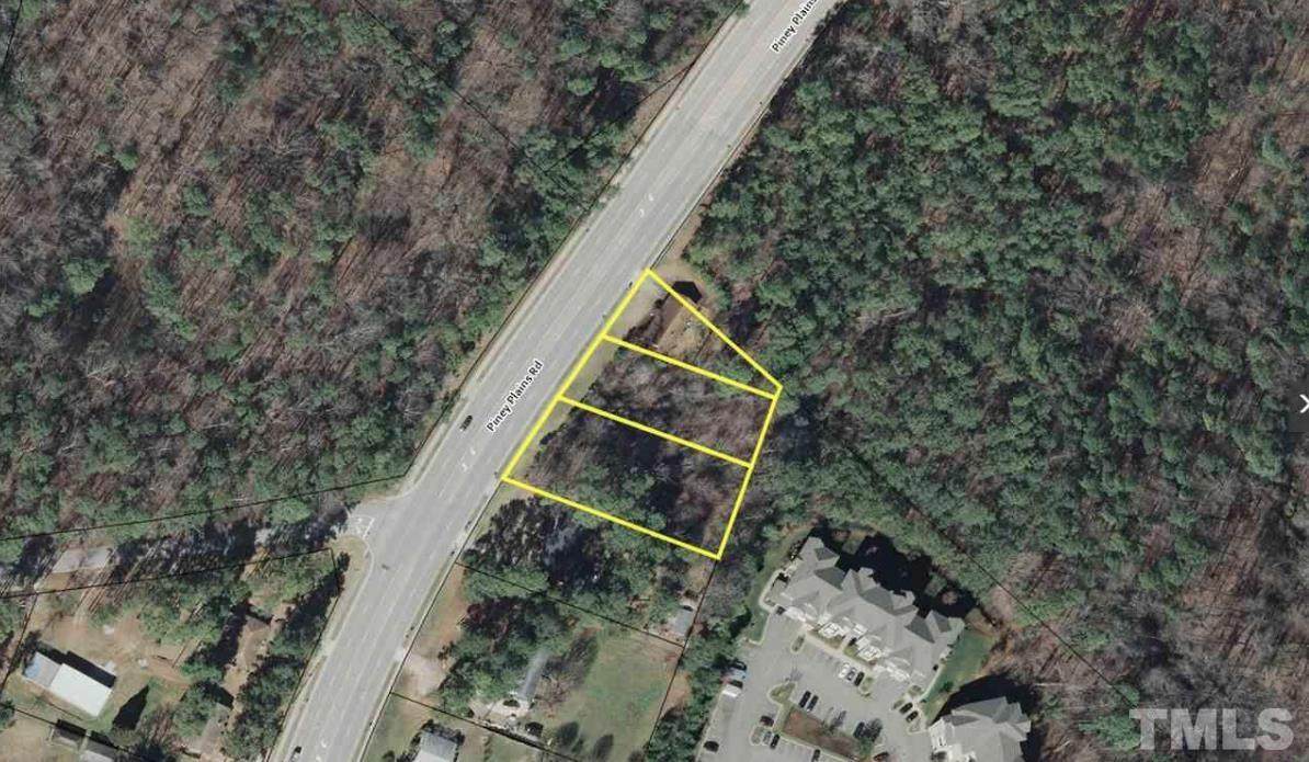 2009 Piney Plains Road - Photo 1