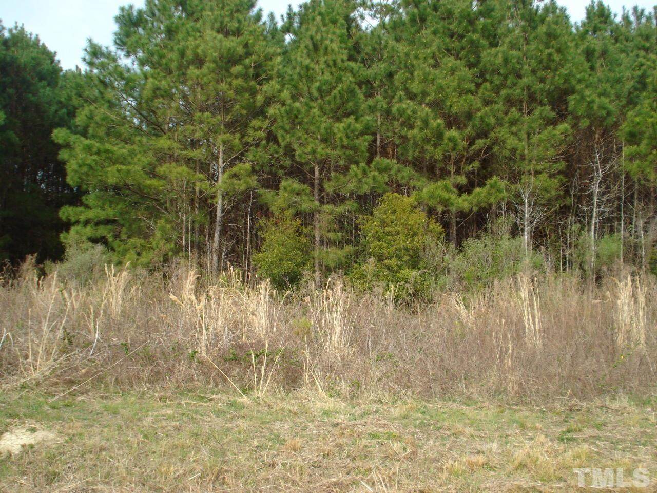0 Bluman Road - Photo 1