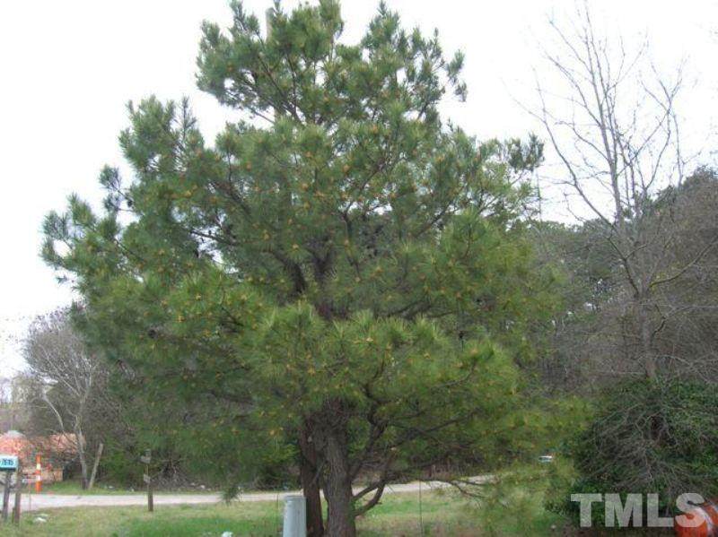 7625 Fayetteville Road - Photo 1