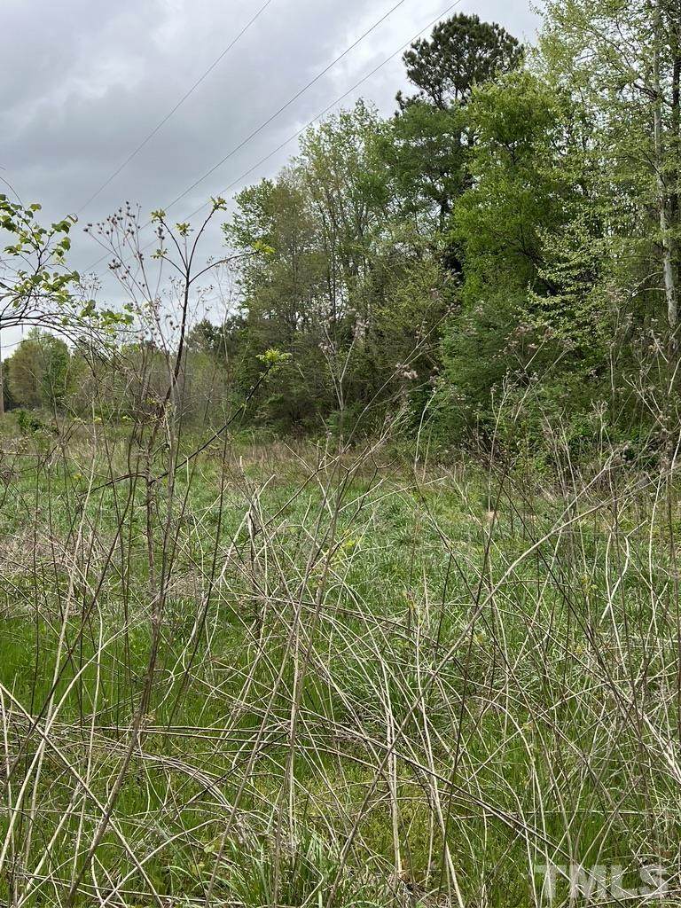 1397 Albright Road - Photo 1
