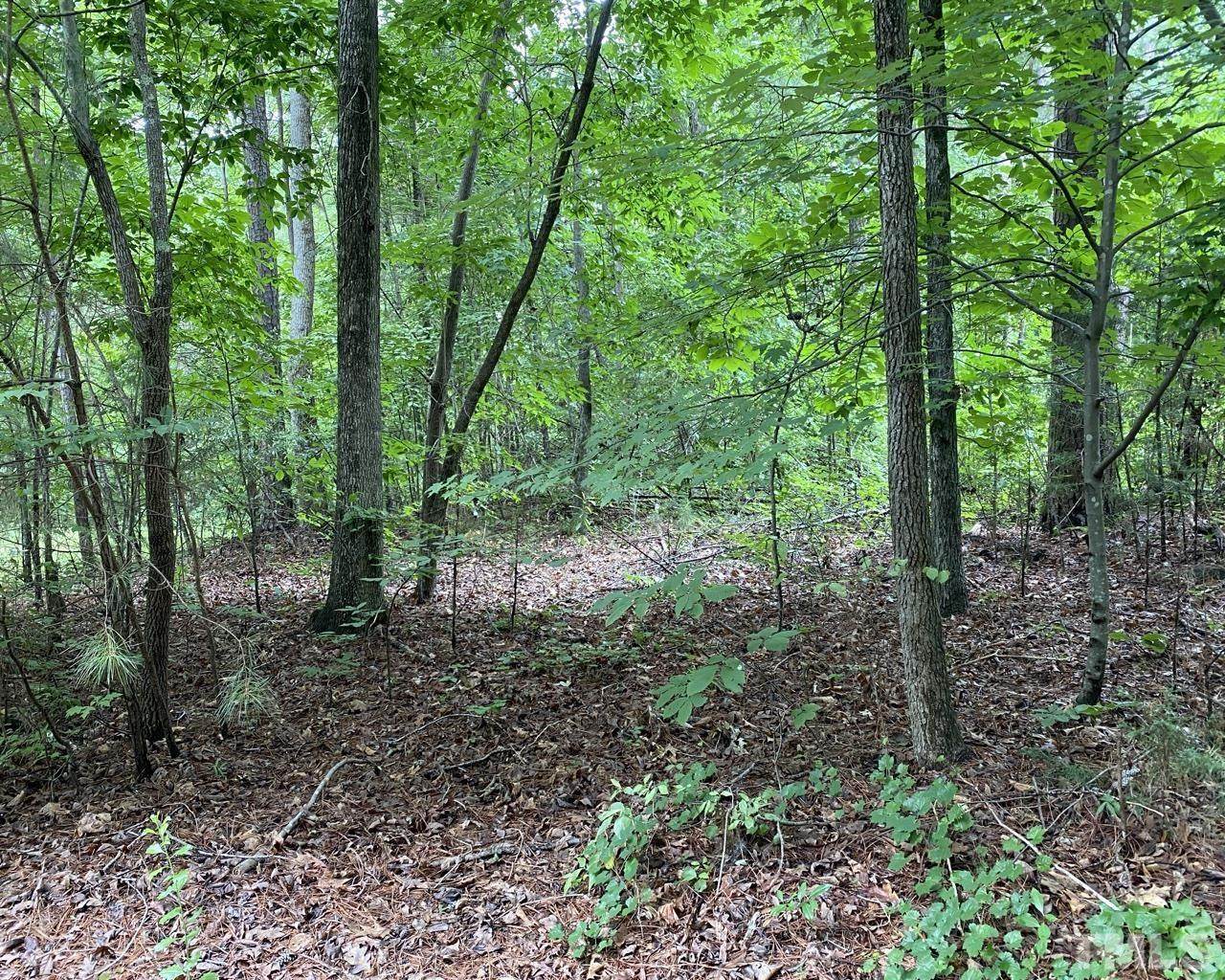 103 Grainger Lane - Photo 1