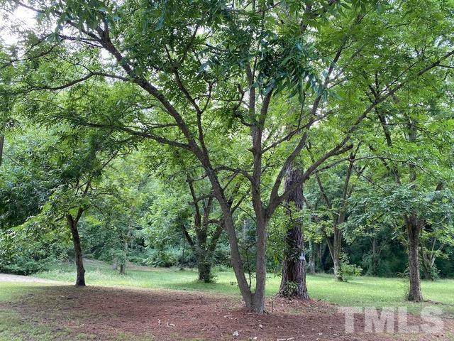 TBD Davis Street - Photo 1