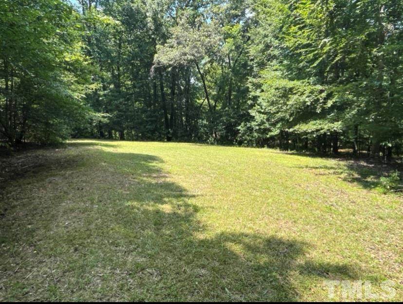 0 Fork Junction Road - Photo 1