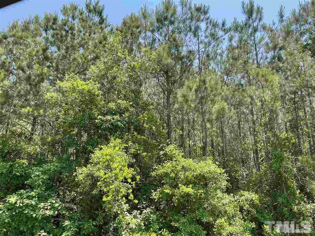 0 Us 401 Highway - Photo 1