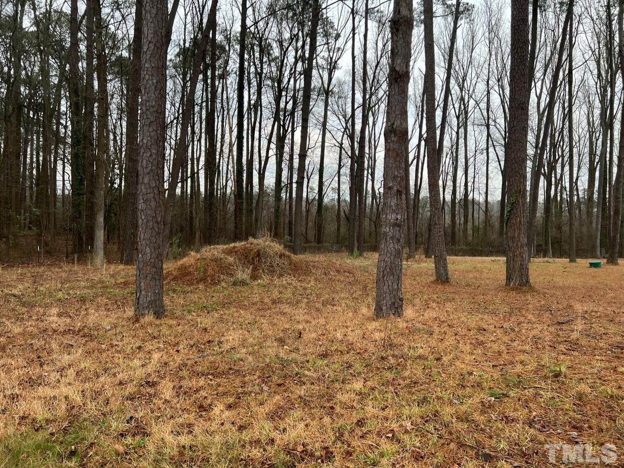 811 Woodland - Photo 1