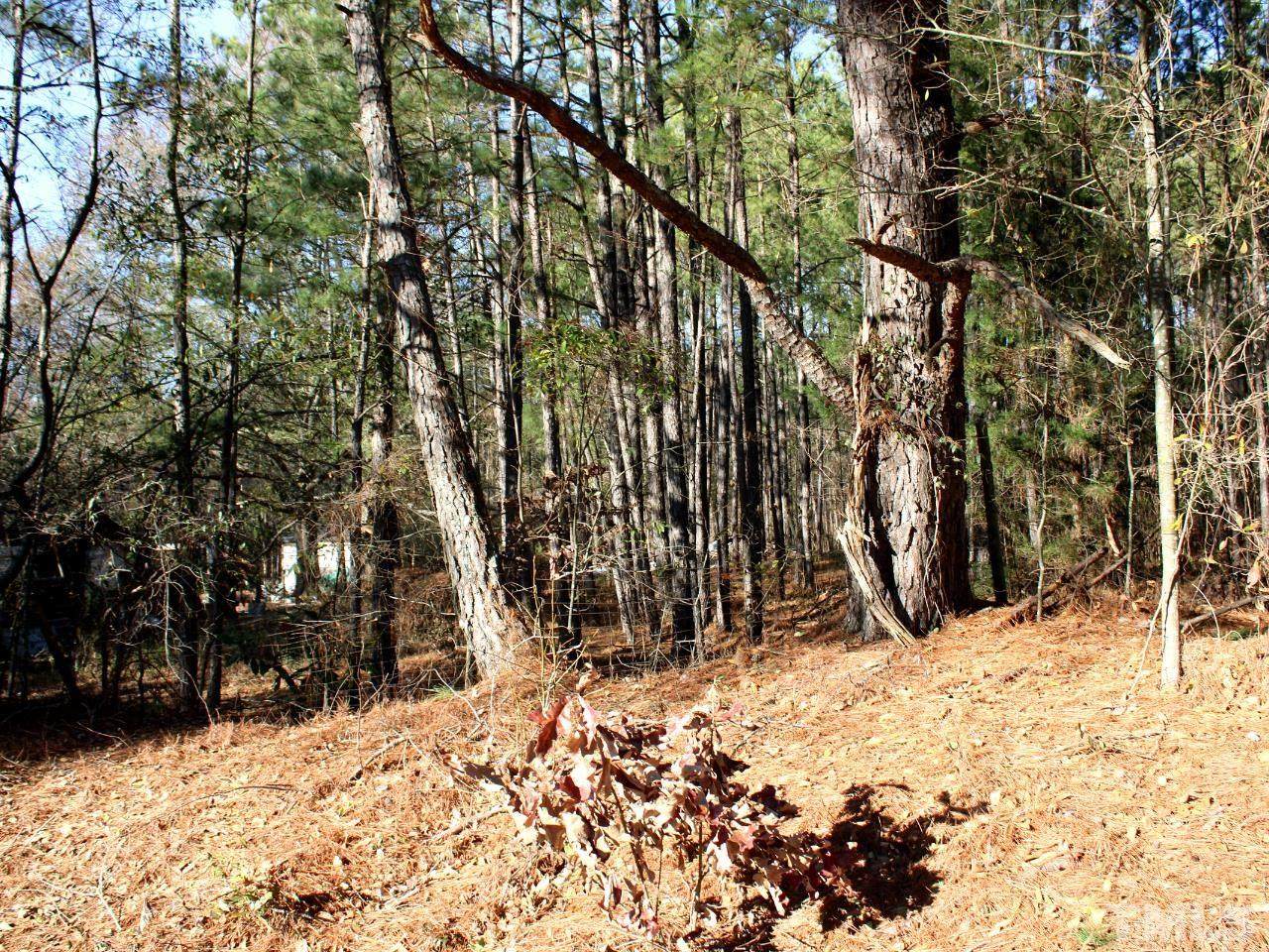1231 Three Bridge Road - Photo 1