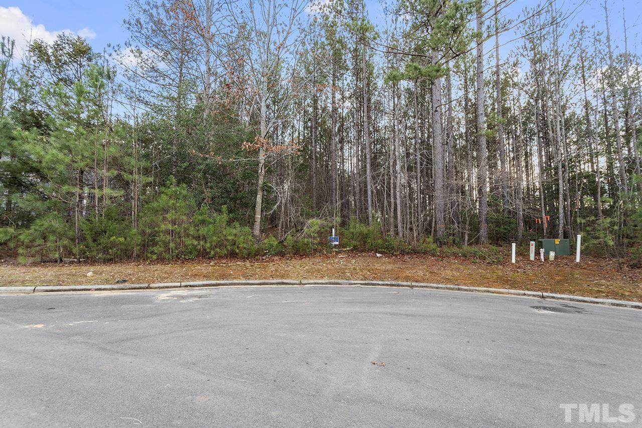 95 Old Hickory - Photo 1