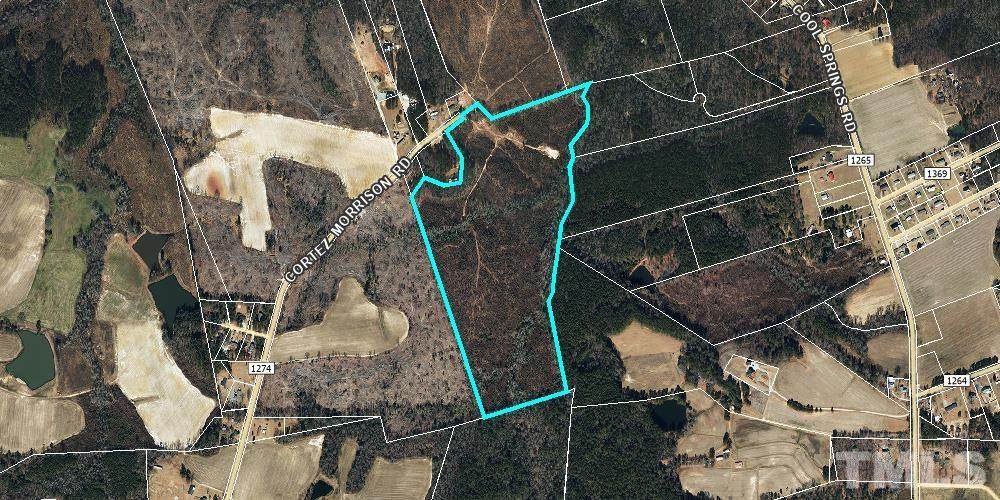 0 Cortez Morrison Road - Photo 1