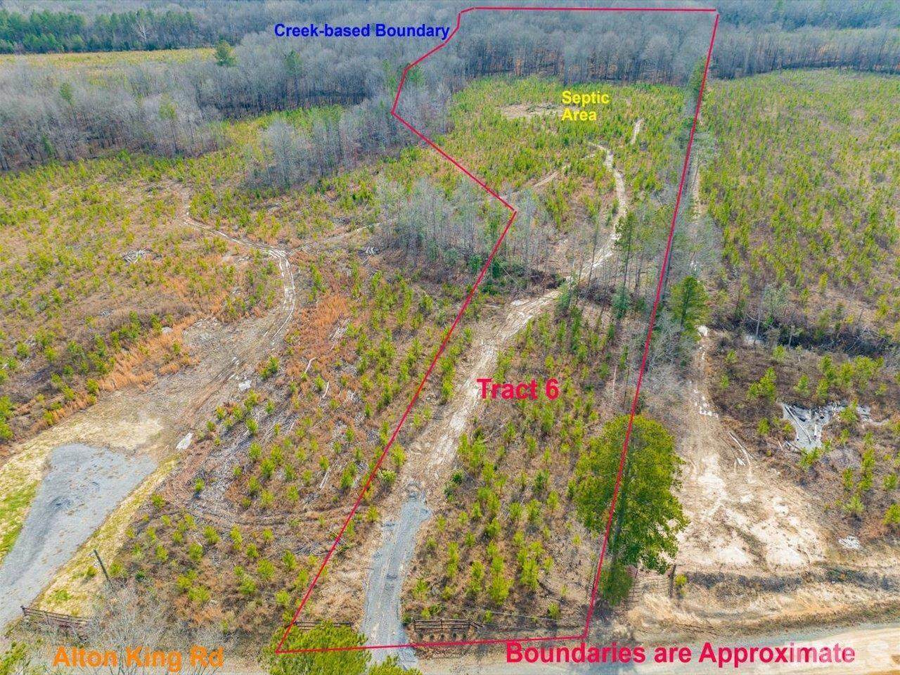 Tract 6 Alton King Road - Photo 1