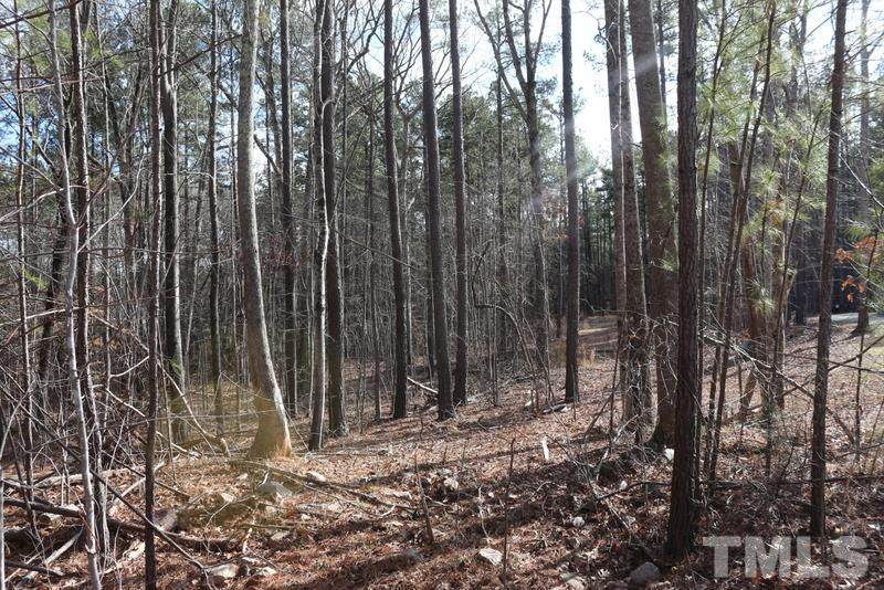Lot 41 Heritage Hills Way - Photo 1